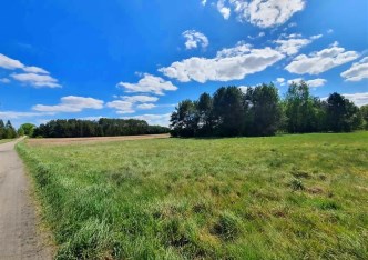 działka na sprzedaż - Turośń Kościelna, Baciuty
