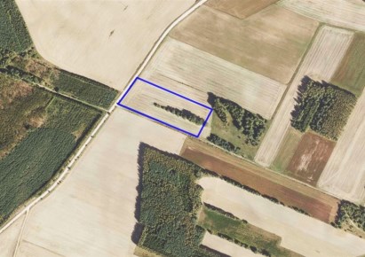 działka na sprzedaż - Szudziałowo, Nowinka