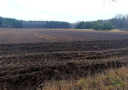 działka na sprzedaż - Narew, Gorędy